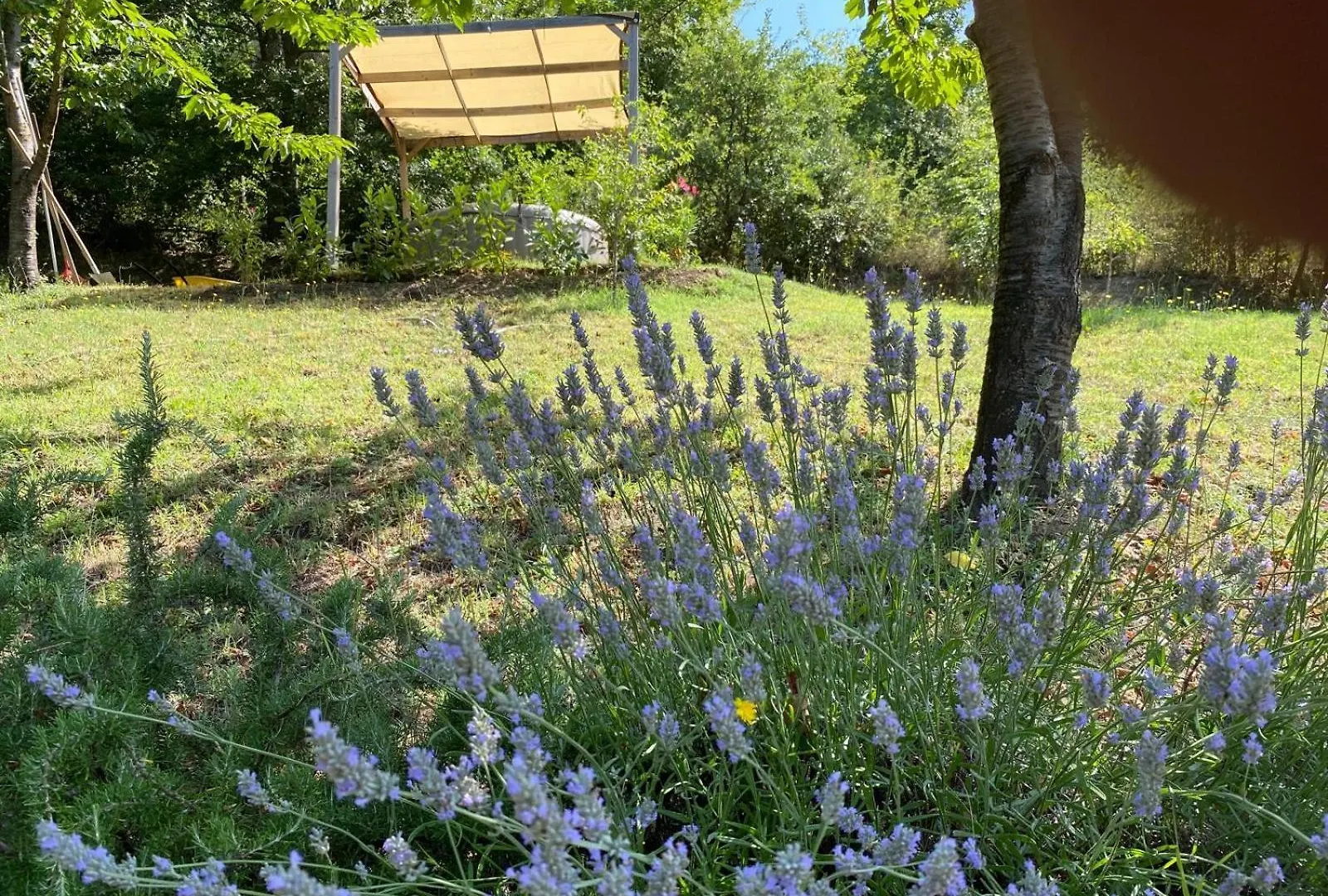 Casa Vaniglia - Fattoria La Speranza, Case Toscane, Anghiari